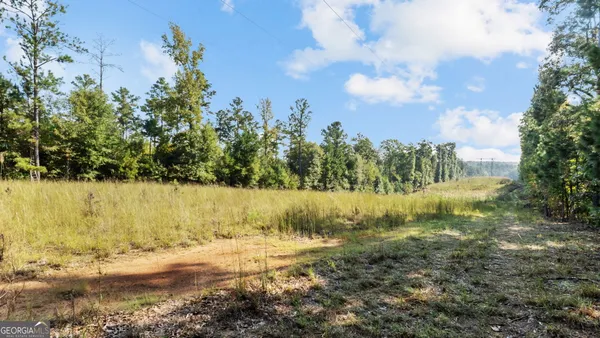 a view of a dry yard