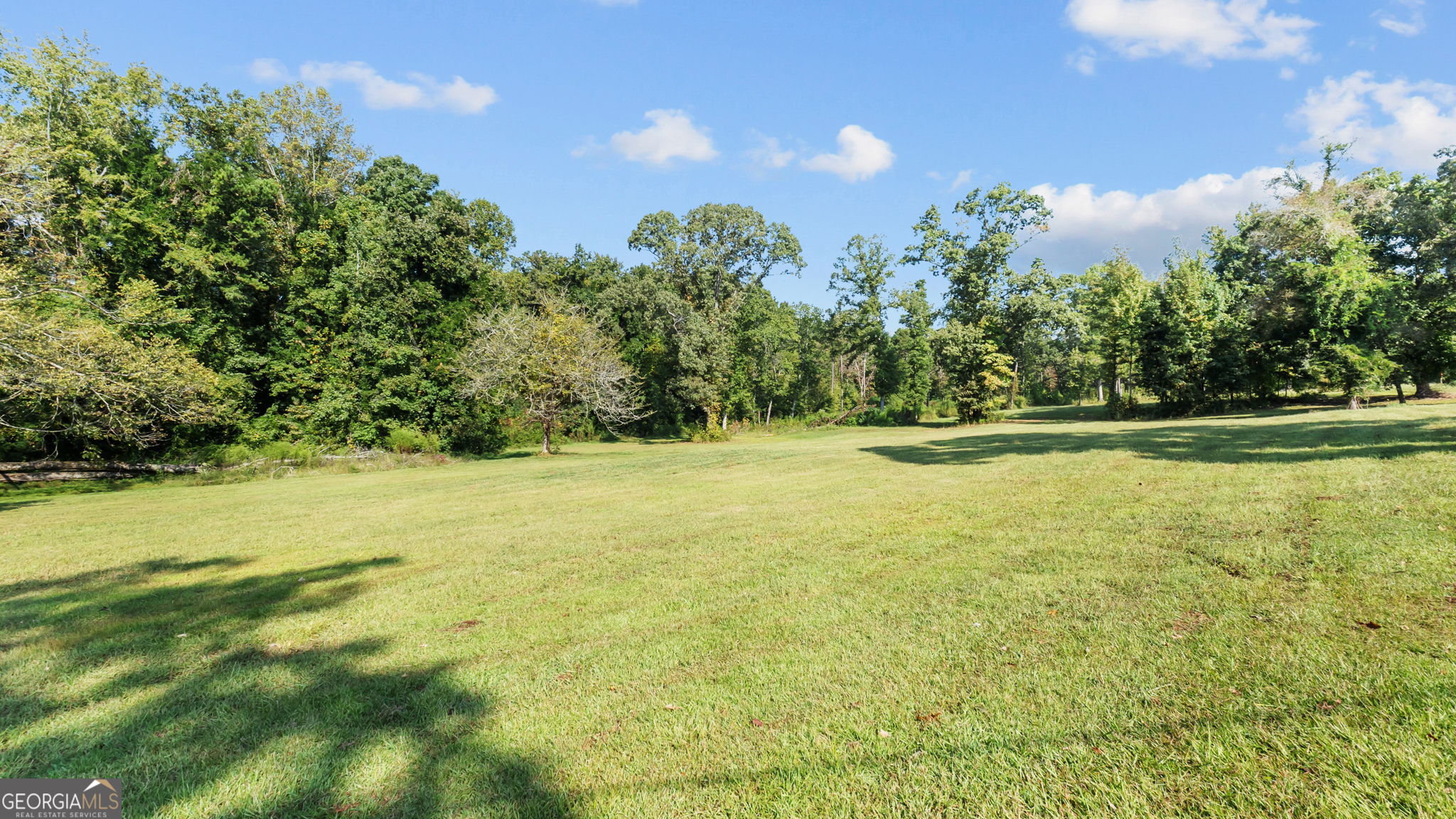 2987 Steele Road Griffin, GA 30223 - Photo 3 of 22 a view of outdoor space with yard and trees around