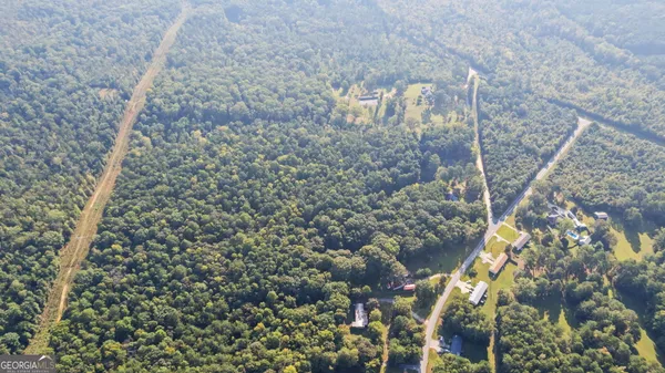 a close up of a plant