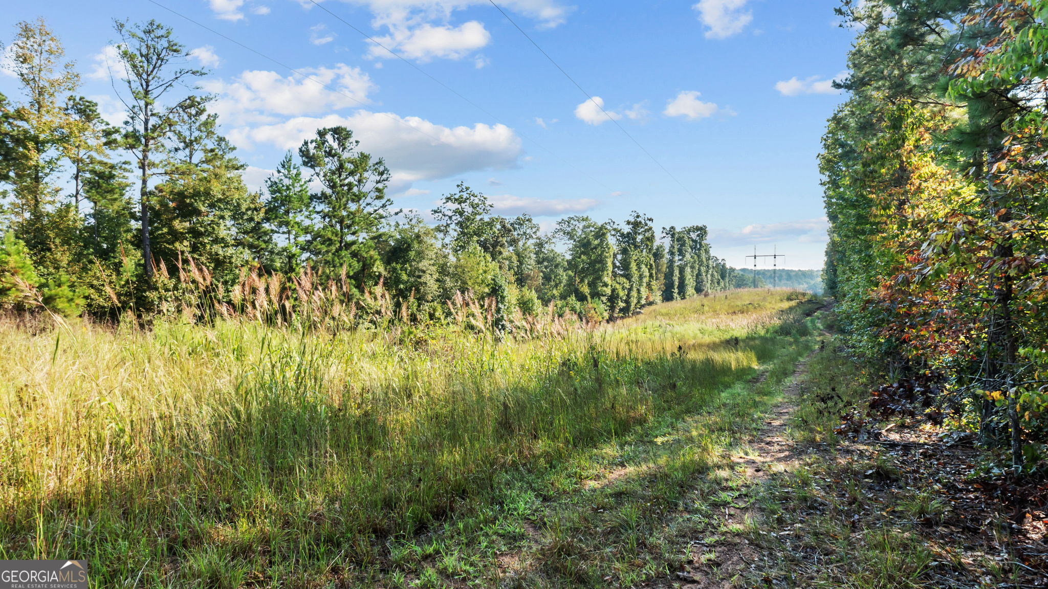2987 Steele Road Griffin, GA 30223 - Photo 7 of 22