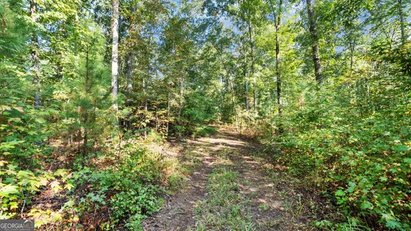 a view of a trees in front of a house
