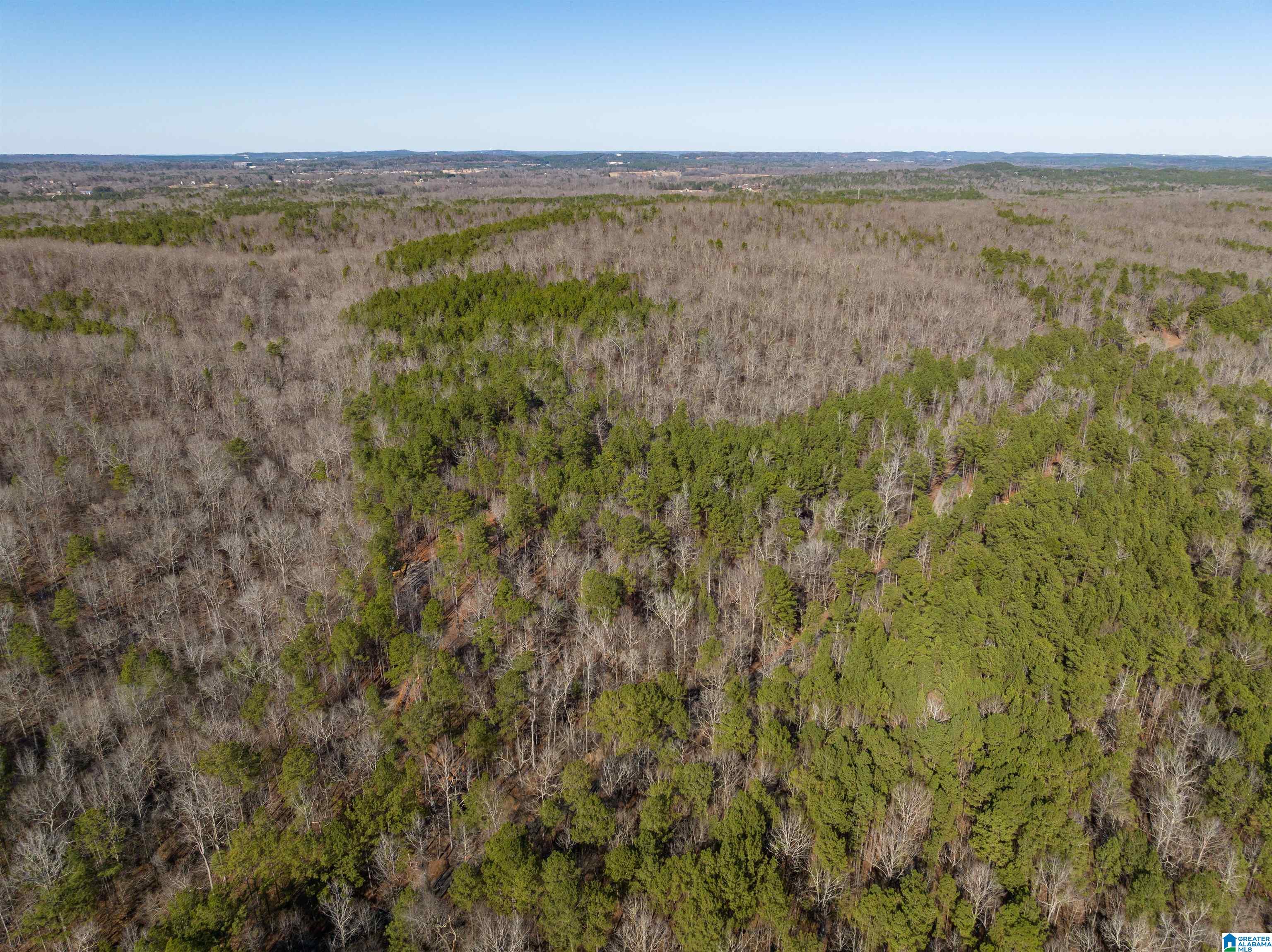 3659 McClendon Chapel Road, Unit 2 Bessemer, AL 35022 - Photo 20 of 44