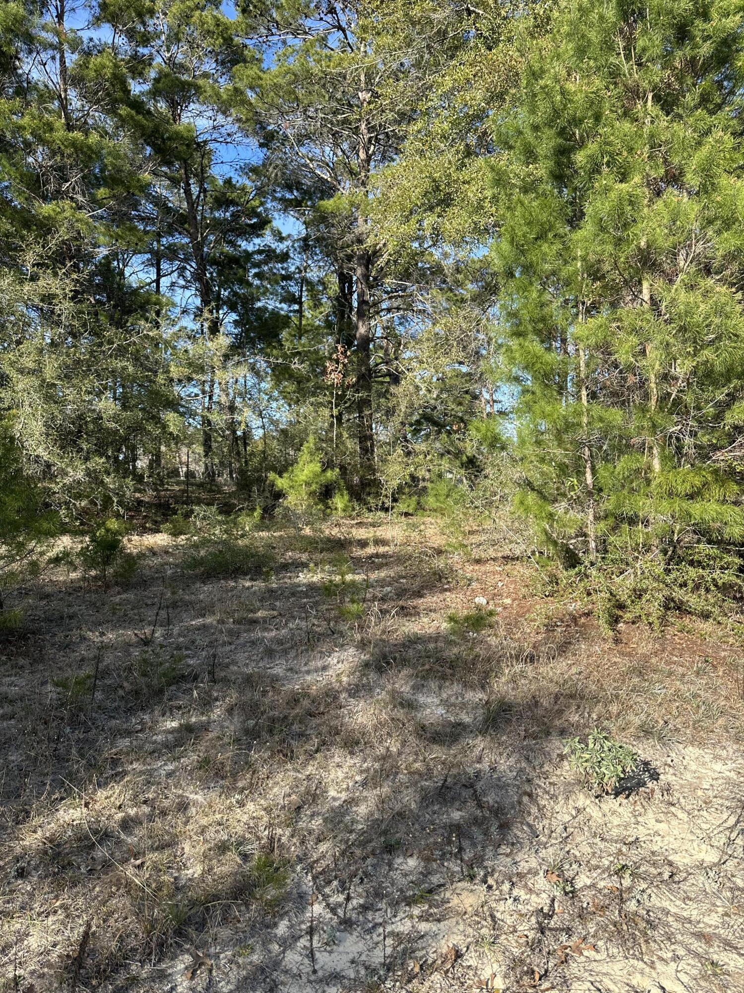 5225 Kimp Road Crestview, FL 32539 - Photo 5 of 15