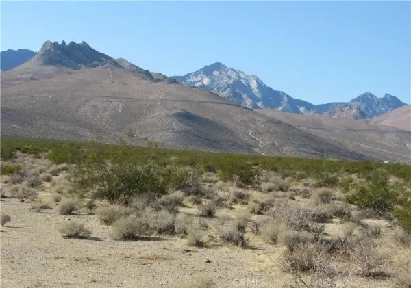 a view of a yard with a mountain in the background