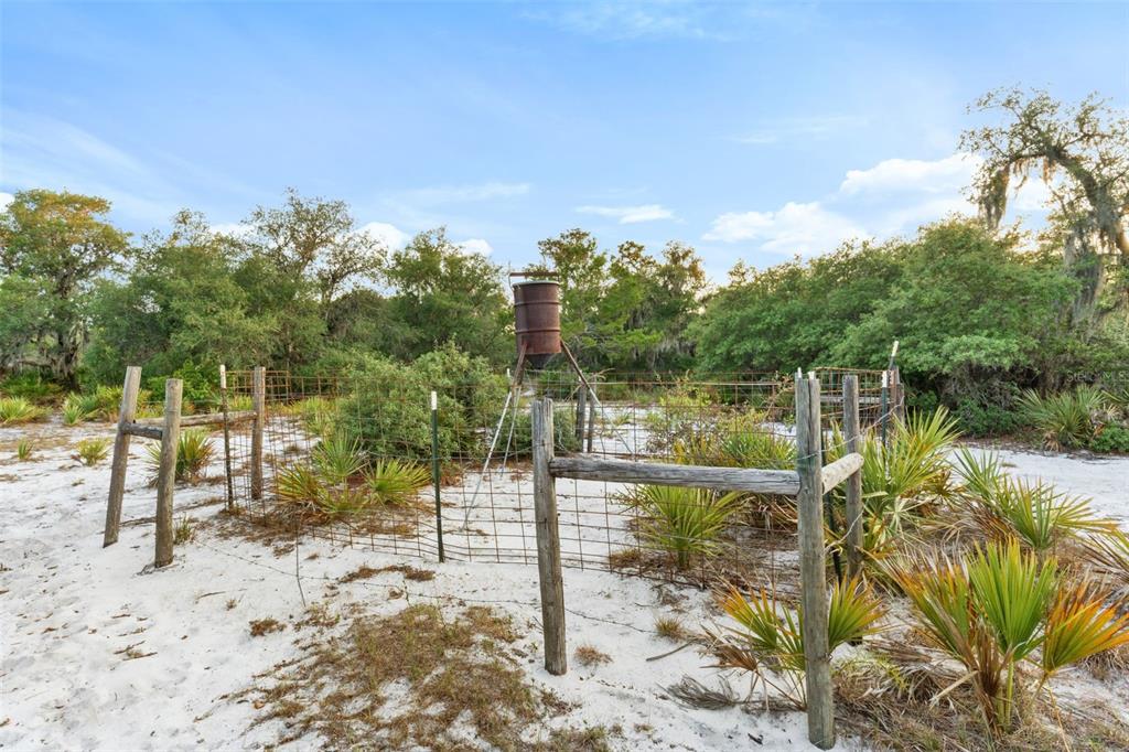 1980 Lake Buffum Road Fort Meade, FL 33841 - Photo 57 of 64 Gallery Image 57