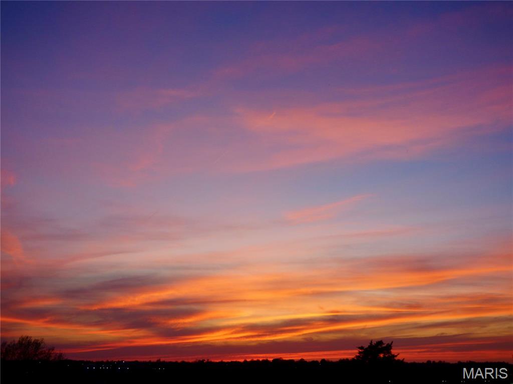 111 Fiddlers Close Road, Unit 111 STB Washington, MO 63090 - Photo 17 of 17