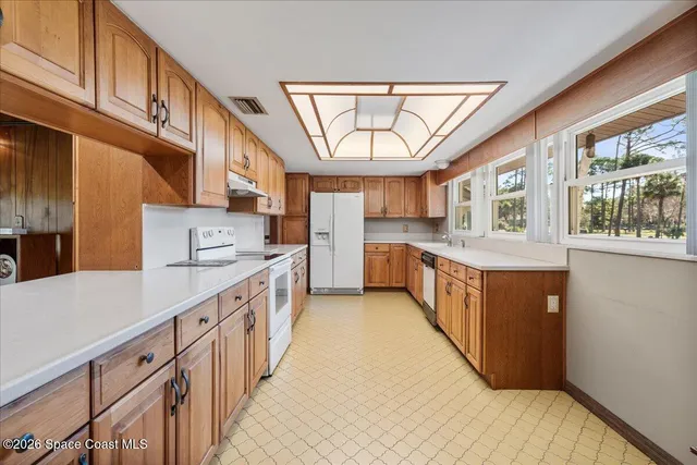 a view of a park that has a tree on the side of it