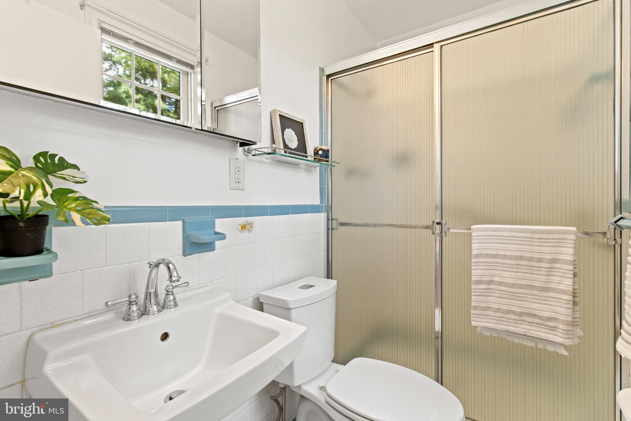 1210 Howe Court Odenton, MD 21113 - Photo 19 of 37 Primary bathroom with standup shower