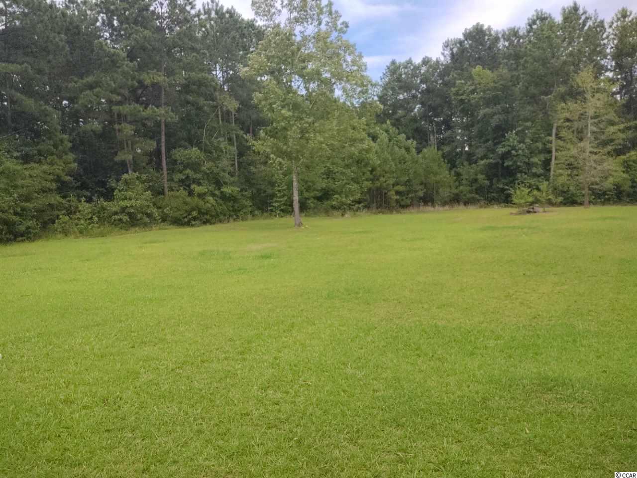 352 Thomps Road Andrews, SC 29510 - Photo 5 of 17