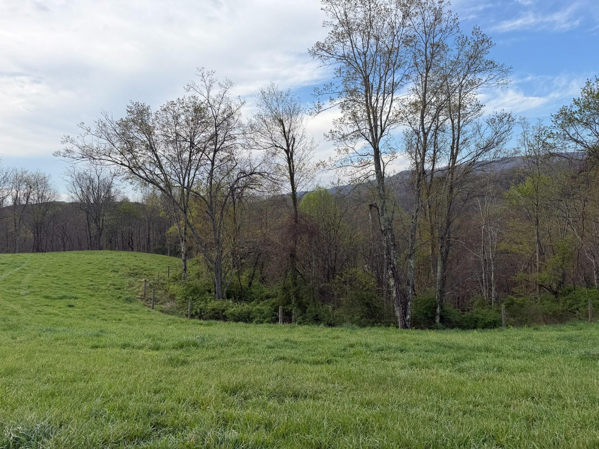 1999 Snake Run Road Alderson, WV 24910 - Photo 12 of 18 Property