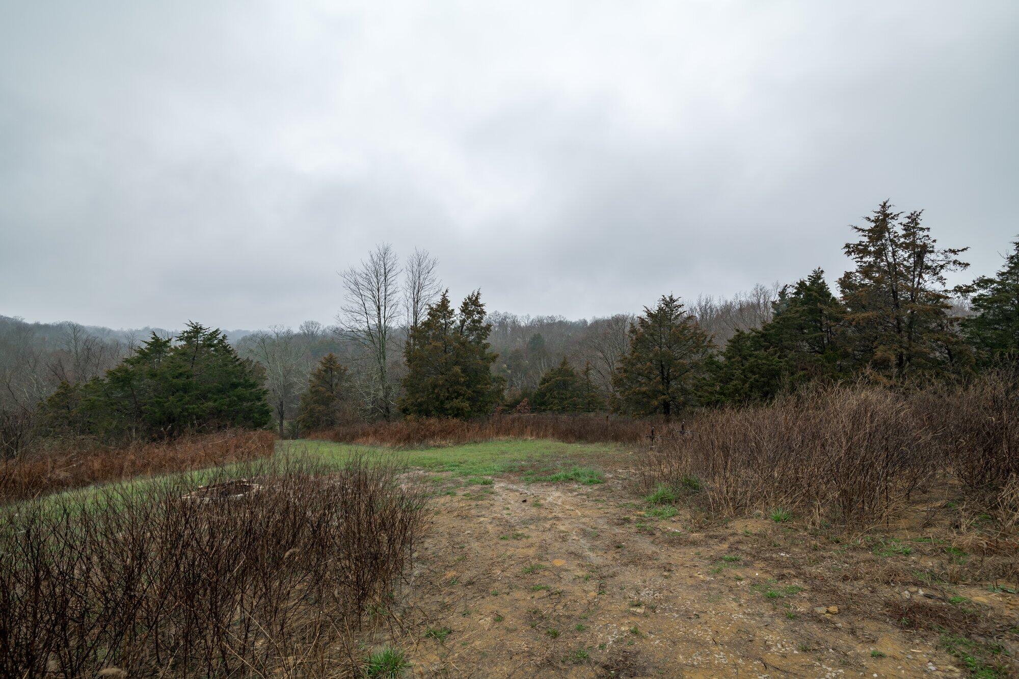 1190 North Dividing Ridge Road Sadieville, KY 40370 - Photo 24 of 24 024-1190_dividing_ridge_rd_3_3_23-highre