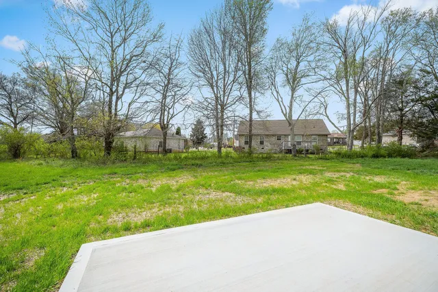 a view of a park with large trees