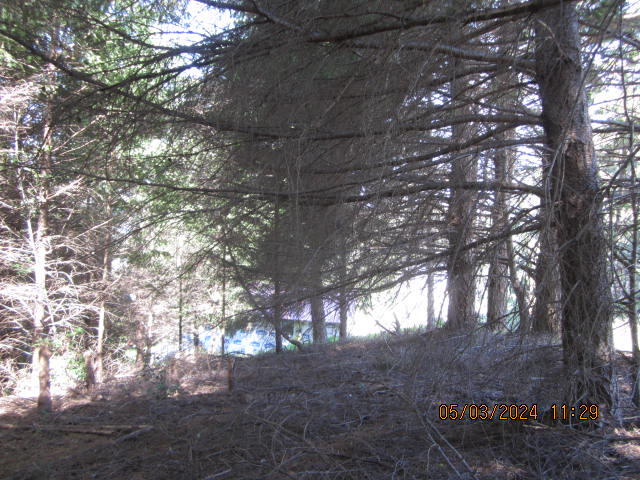 232 Nob Hill Road Shelter Cove, CA 95589 - Photo 6 of 20