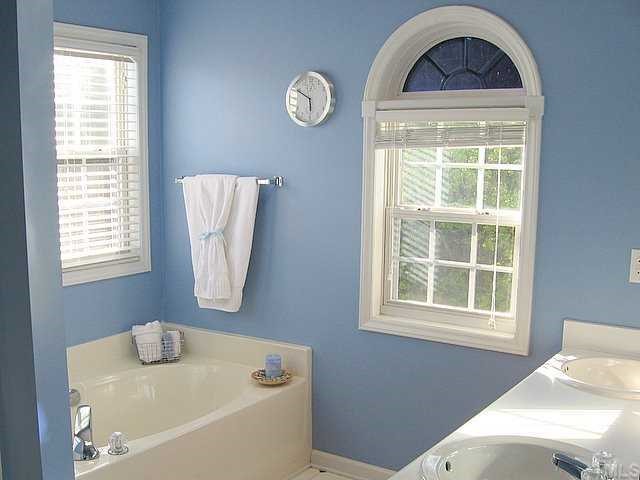 1316 Red Twig Road Apex, NC 27502 - Photo 9 of 12 Highlilghts of the vaulted-ceiling master bath include a Palladian accent window, a garden tub and separate shower, a dual sink vanitiy and access to a walk-in closet. Skylights further brighten this well-lit "champagne bath".