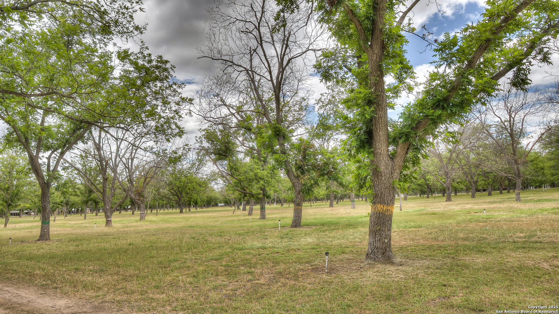 90 Johhny Seibert Lane Rio Frio, TX 78879 - Photo 5 of 49