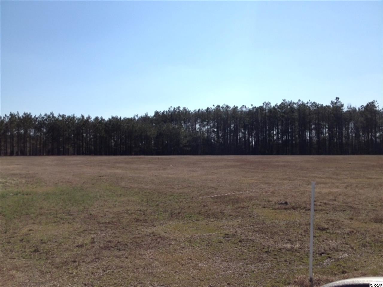 378 Loris Sc 29569 Loris, SC 29569 - Photo 1 of 9 Gallery Image 1