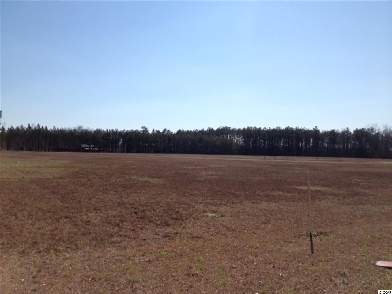 378 Loris Sc 29569 Loris, SC 29569 - Photo 2 of 9 Gallery Image 2