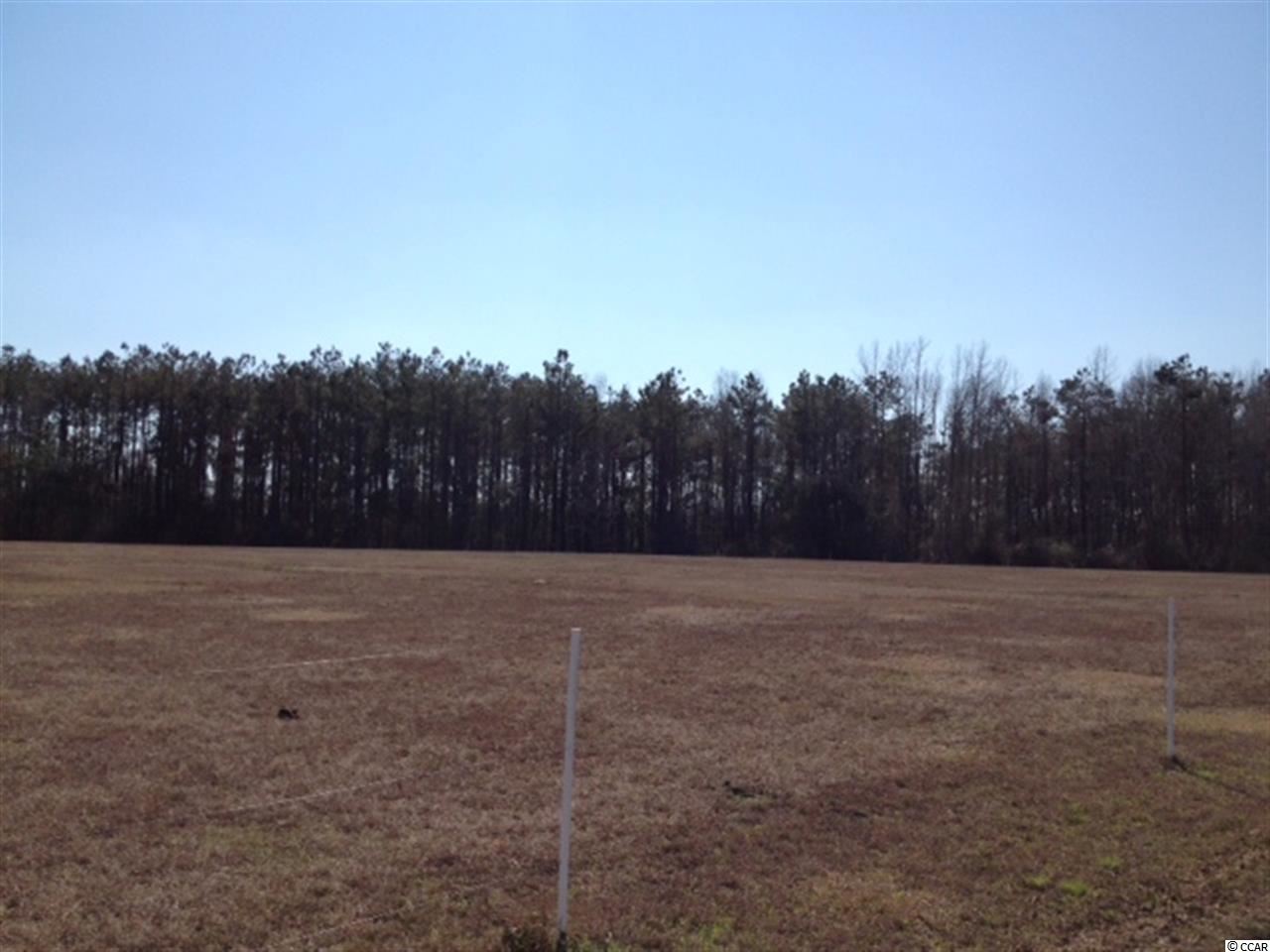 378 Loris Sc 29569 Loris, SC 29569 - Photo 3 of 9 Gallery Image 3