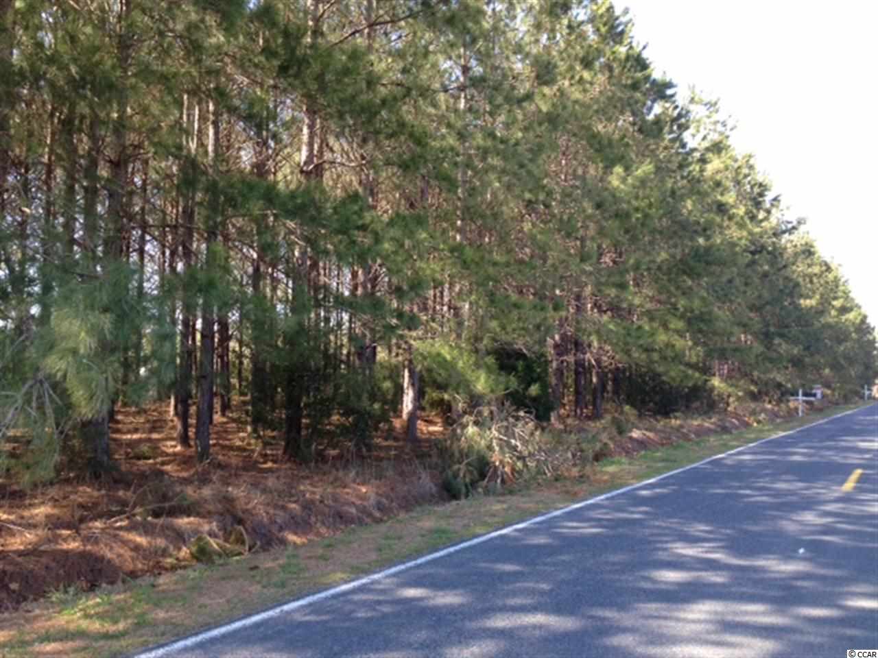 378 Loris Sc 29569 Loris, SC 29569 - Photo 4 of 9 Gallery Image 4