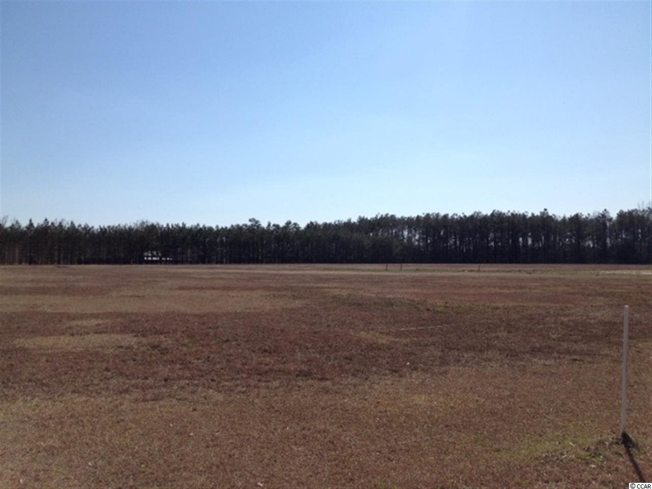 378 Loris Sc 29569 Loris, SC 29569 - Photo 5 of 9 Gallery Image 5