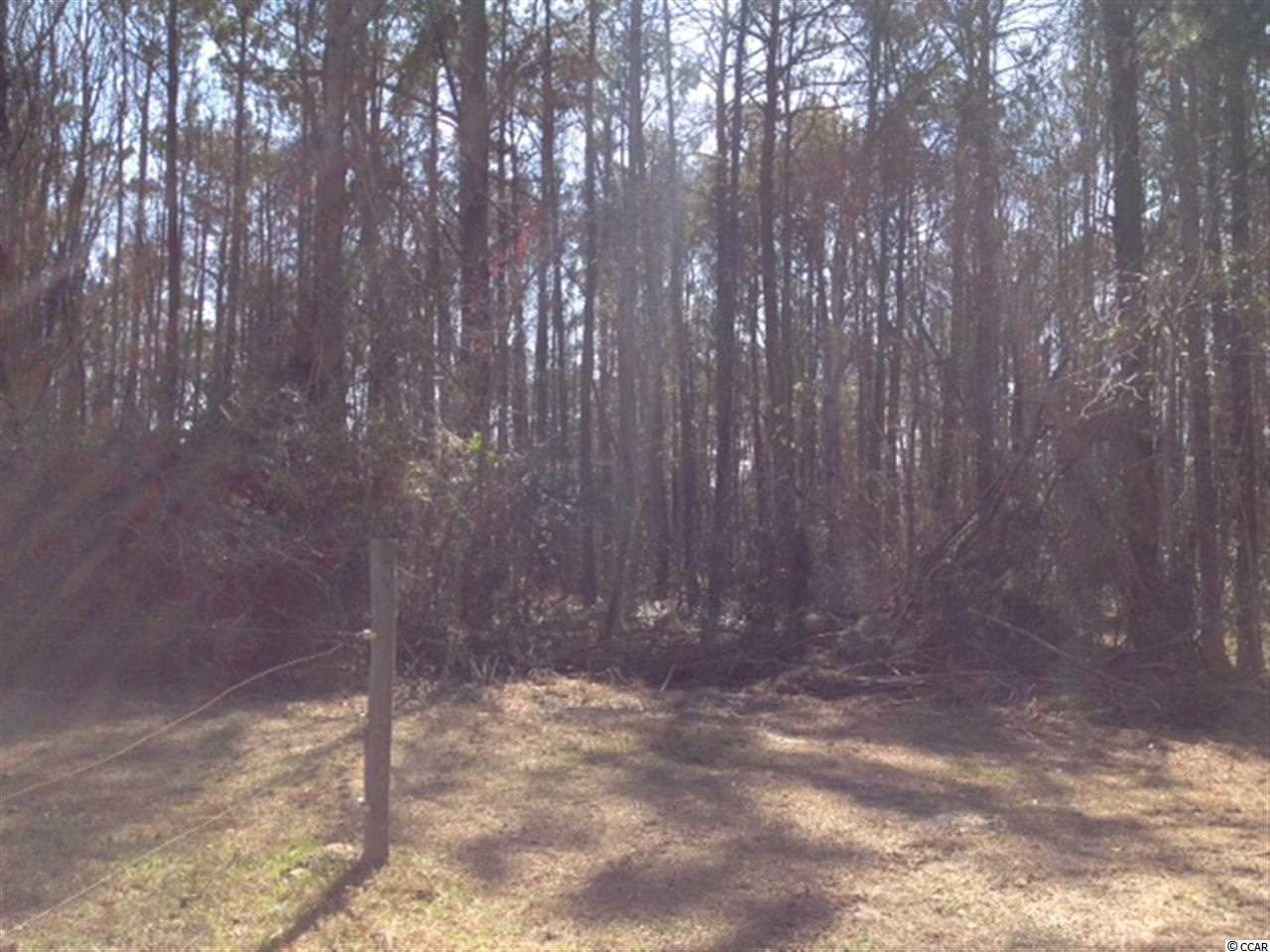378 Loris Sc 29569 Loris, SC 29569 - Photo 6 of 9 Gallery Image 6