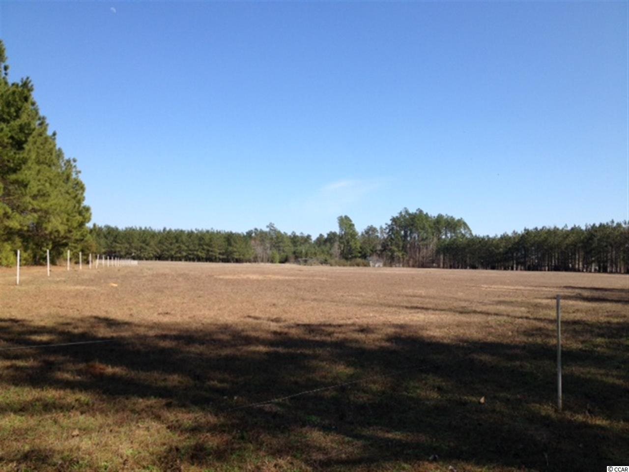378 Loris Sc 29569 Loris, SC 29569 - Photo 7 of 9 Gallery Image 7