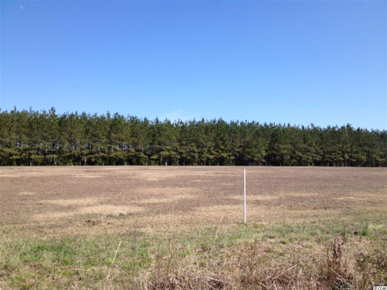 378 Loris Sc 29569 Loris, SC 29569 - Photo 8 of 9 Gallery Image 8