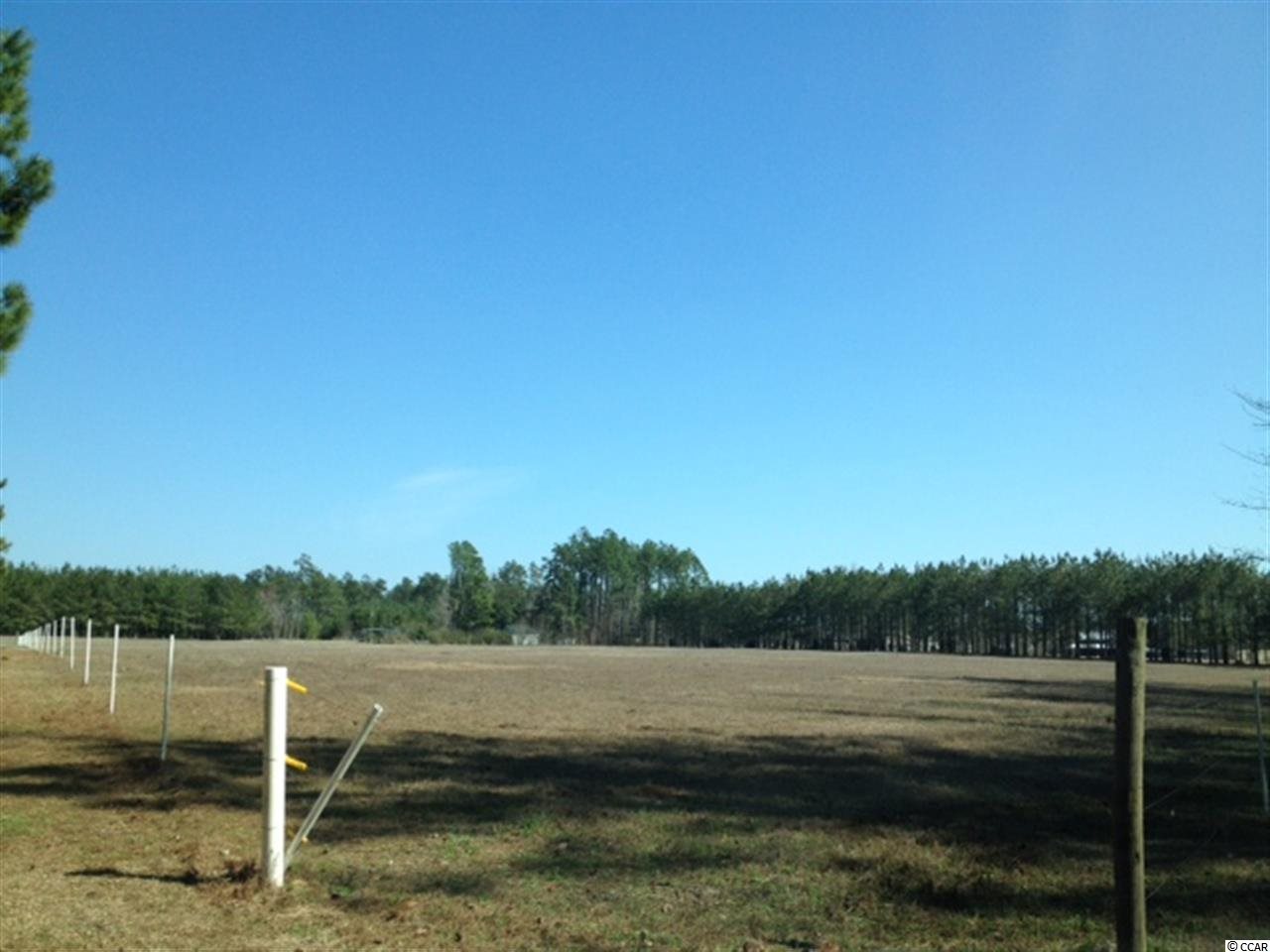 378 Loris Sc 29569 Loris, SC 29569 - Photo 9 of 9 Gallery Image 9