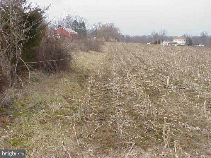 0 Bethel Church Road Spring City, PA 19475 - Photo 3 of 3 Gallery Image 3