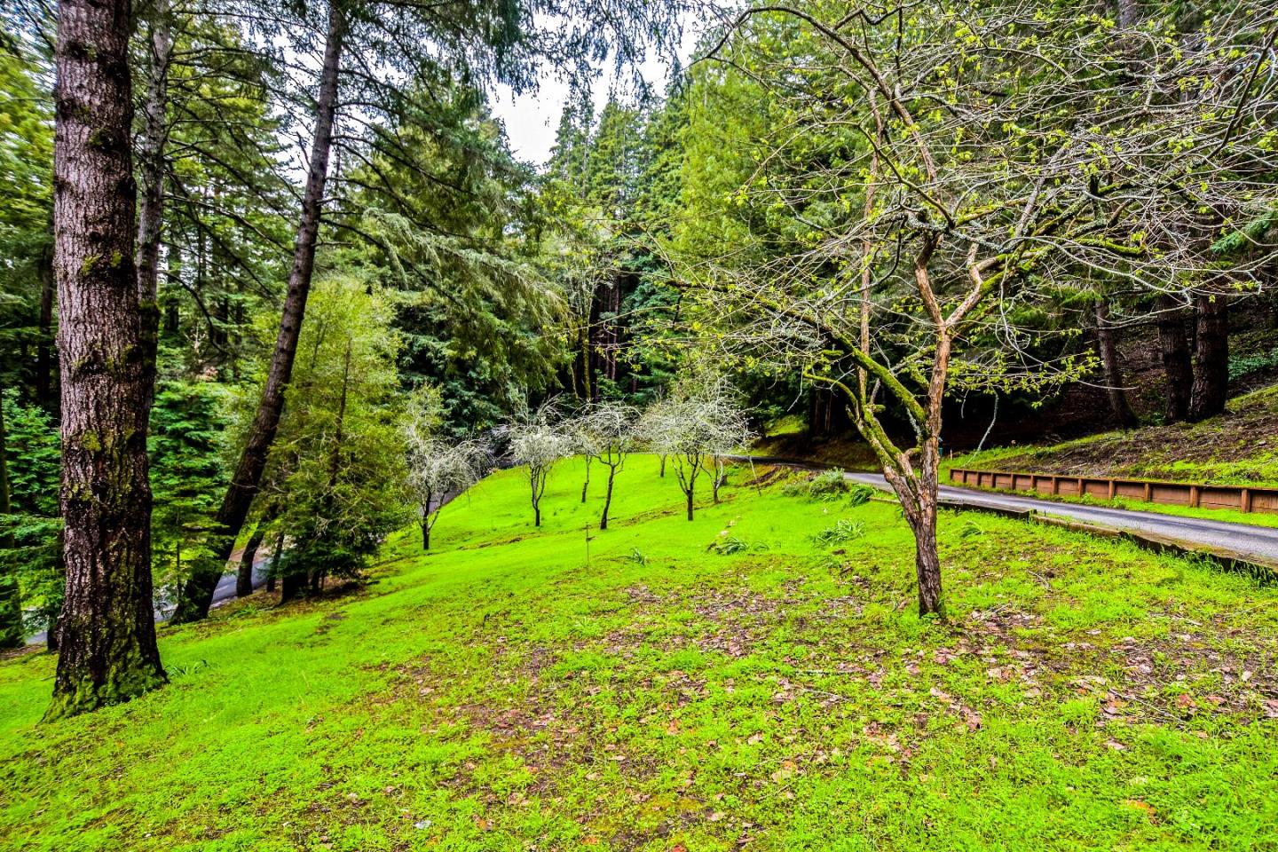 260 Blair Ranch Road Scotts Valley, CA 95066 - Photo 29 of 35 Gallery Image 29