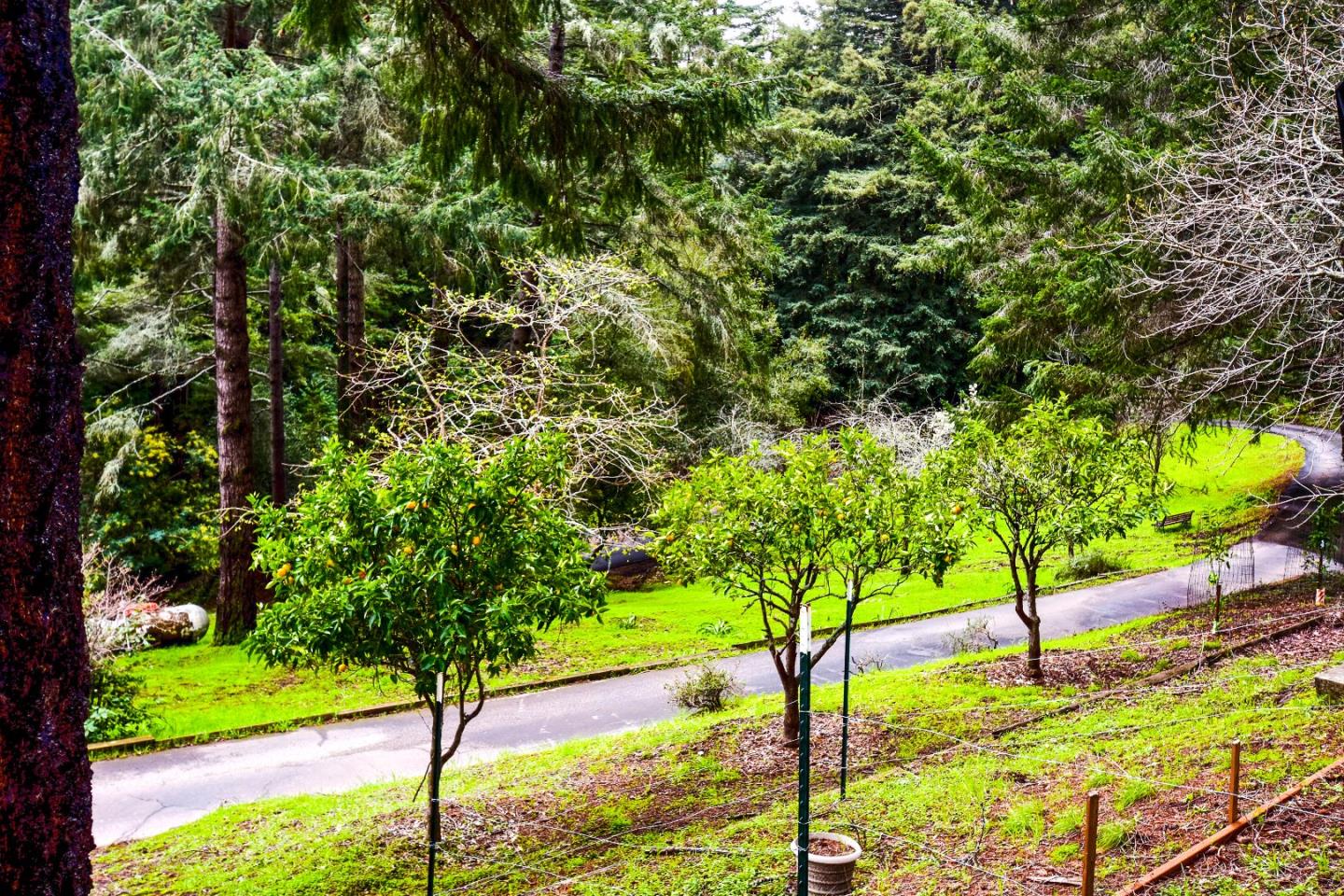 260 Blair Ranch Road Scotts Valley, CA 95066 - Photo 30 of 35 Gallery Image 30