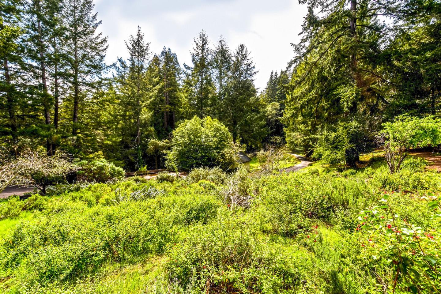 260 Blair Ranch Road Scotts Valley, CA 95066 - Photo 31 of 35 Gallery Image 31