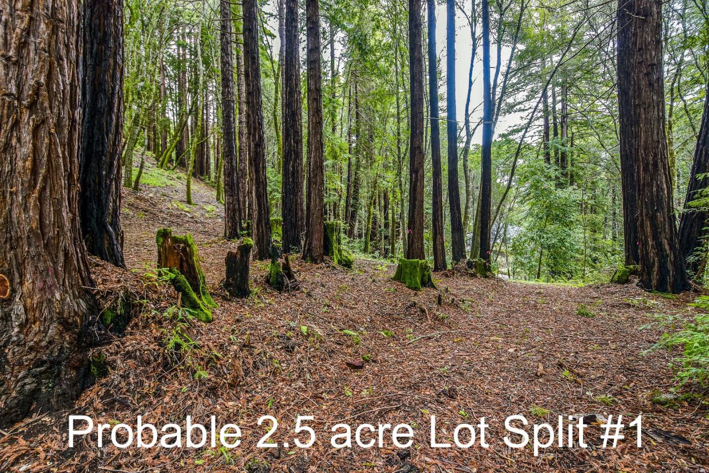 260 Blair Ranch Road Scotts Valley, CA 95066 - Photo 33 of 35 Gallery Image 33