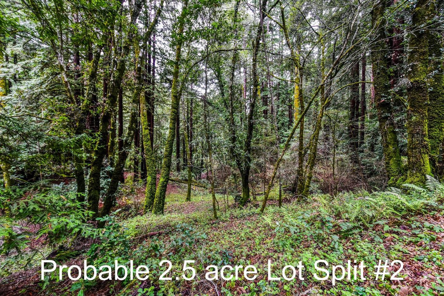 260 Blair Ranch Road Scotts Valley, CA 95066 - Photo 34 of 35 Gallery Image 34