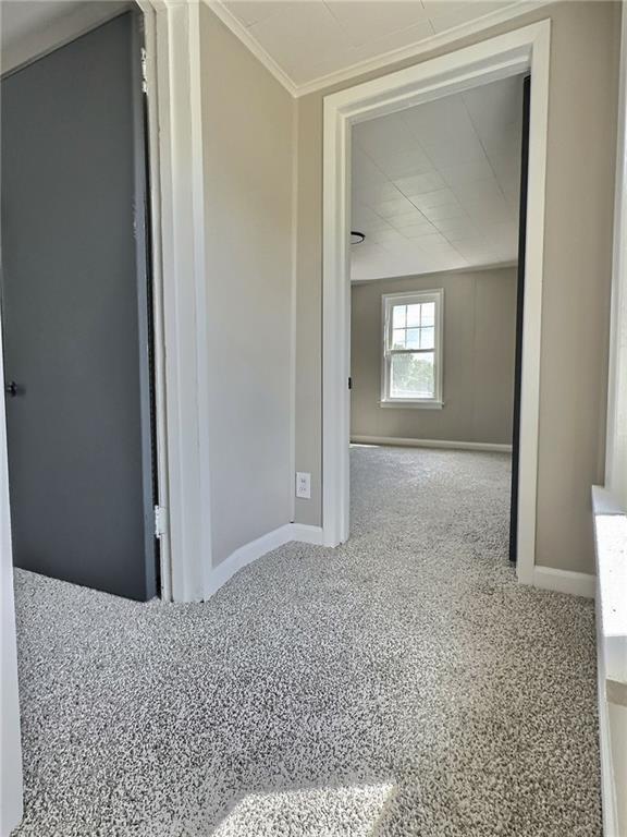 91 Blanche Road Fredericktown, PA 15333 - Photo 19 of 41 a view of a hallway with wooden floor and front door
