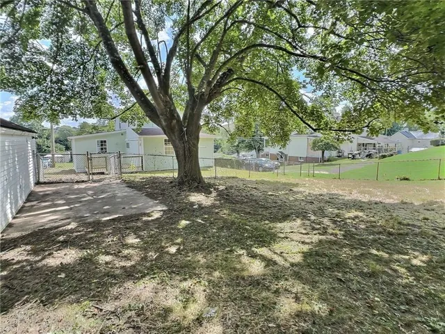a view of a yard with plants and a tree
