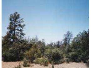 0 Estrella Road Prescott, AZ 86305 - Photo 1 of 4 Primary Photo