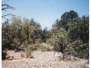 0 Estrella Road Prescott, AZ 86305 - Photo 2 of 4 Additional Photo