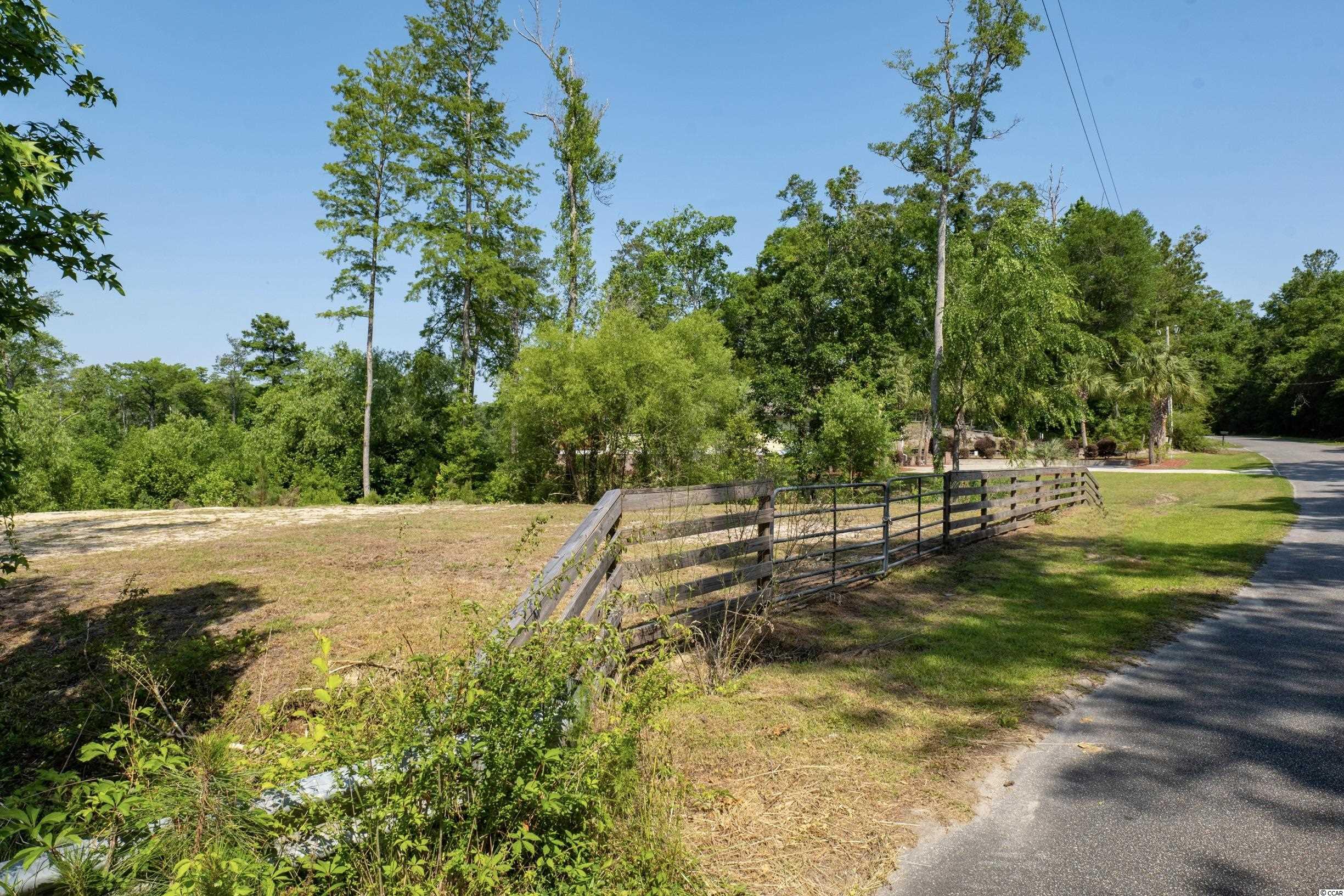 Tbd Francis Marion Drive Georgetown, SC 29440 - Photo 28 of 28