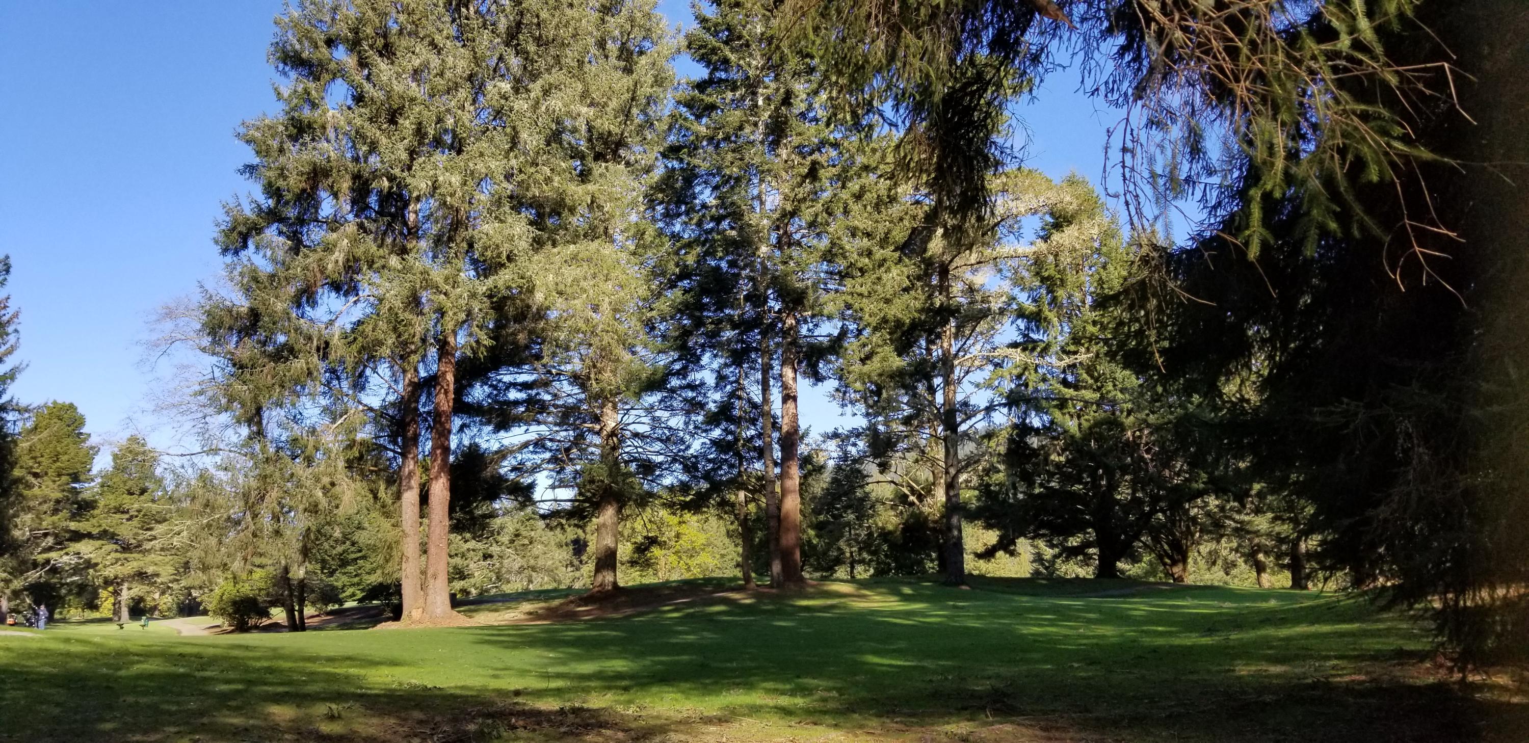 2418 Golf Course Road Bayside, CA 95524 - Photo 30 of 30 Hole #3 at end of drive across the street