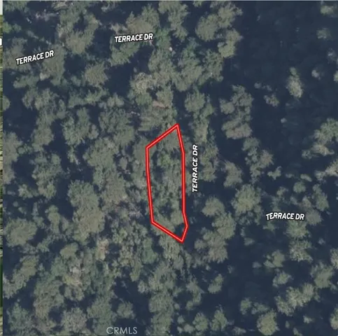 a sign that is on a tree