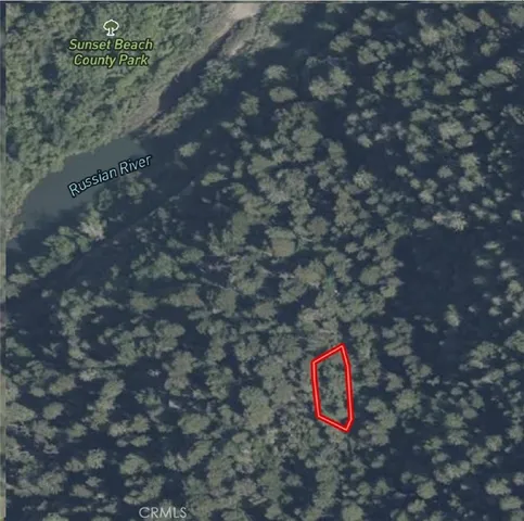 a view of a tree with a tree