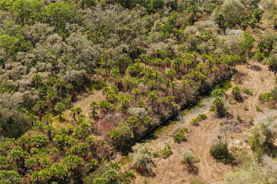 3751 Bateman Road Alva, FL 33920 - Photo 22 of 26 a view of a yard of a yard