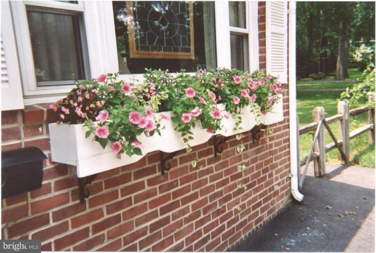 11600 Nairn Road Silver Spring, MD 20902 - Photo 3 of 17 Garden #2