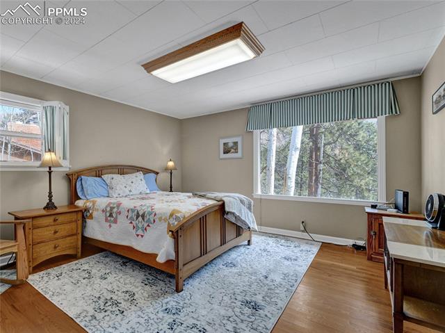 4955 Dodd Road Cascade, CO 80809 - Photo 13 of 45 Bedroom with multiple windows and light wood-type flooring
