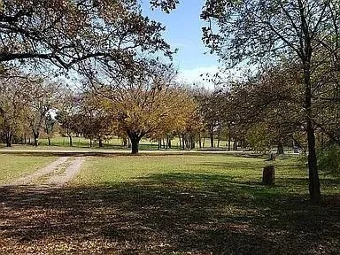 a big yard with trees