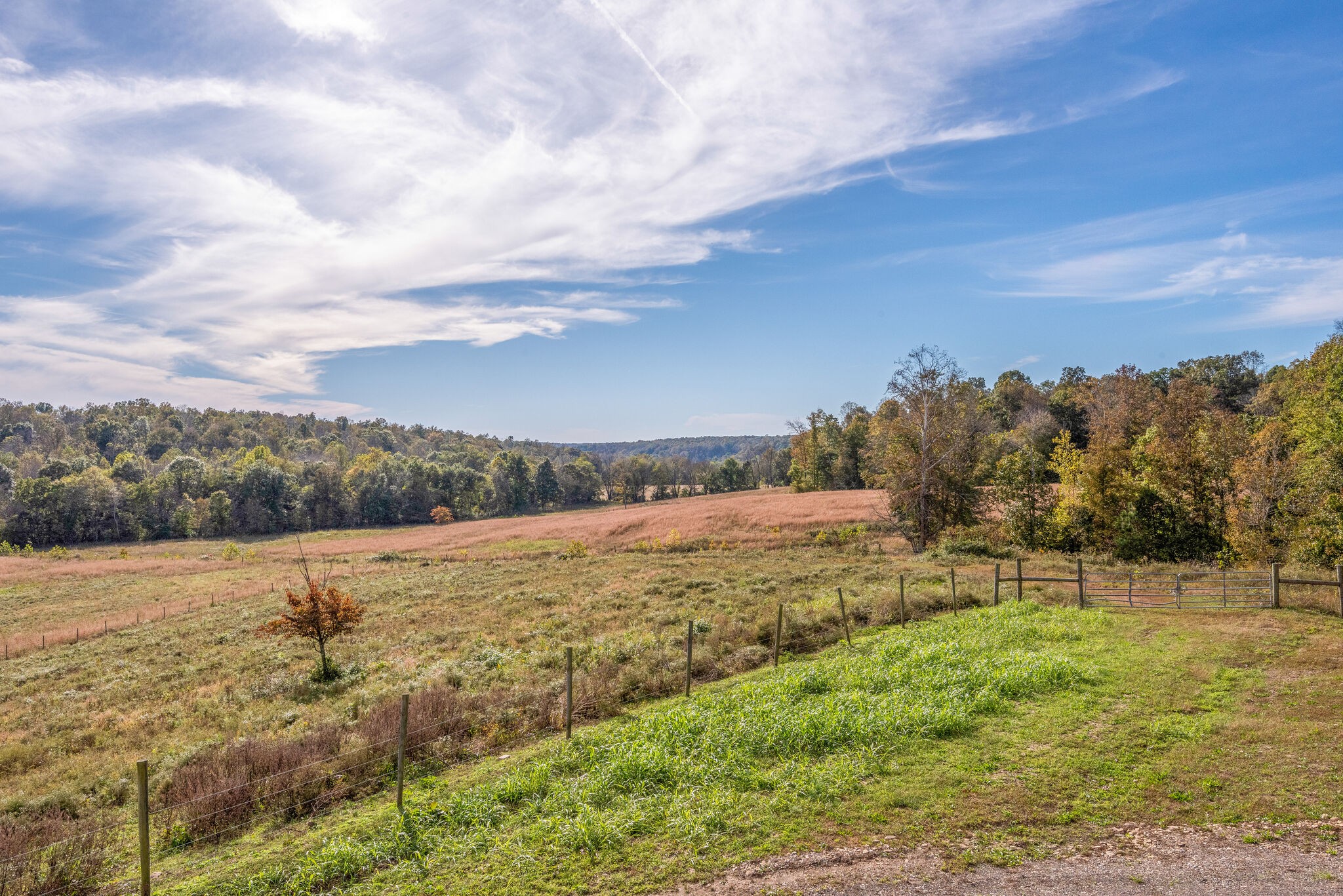 863 Woolworth Road Erin, TN 37061 - Photo 32 of 40 Gallery Image 32