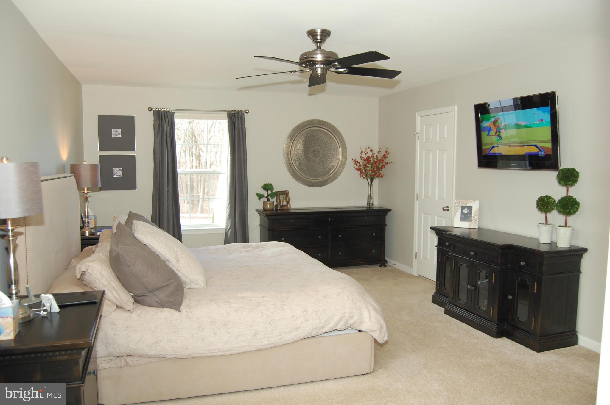 8350 Academy Road Ellicott City, MD 21043 - Photo 16 of 30 Bedroom (Master)