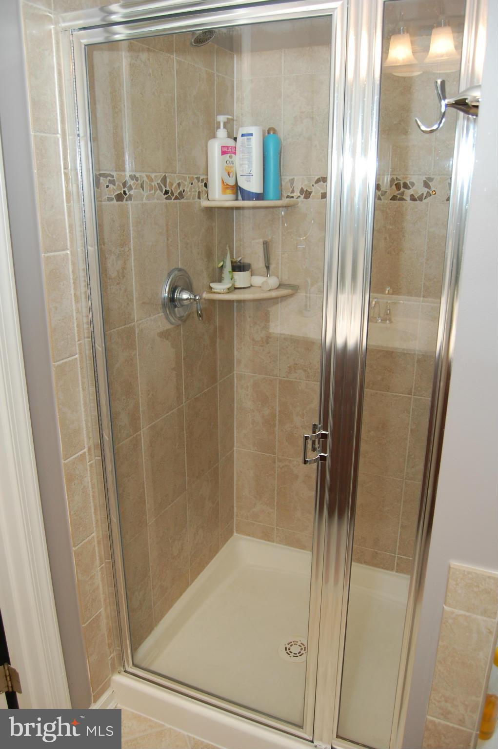 8350 Academy Road Ellicott City, MD 21043 - Photo 18 of 30 Separate Shower