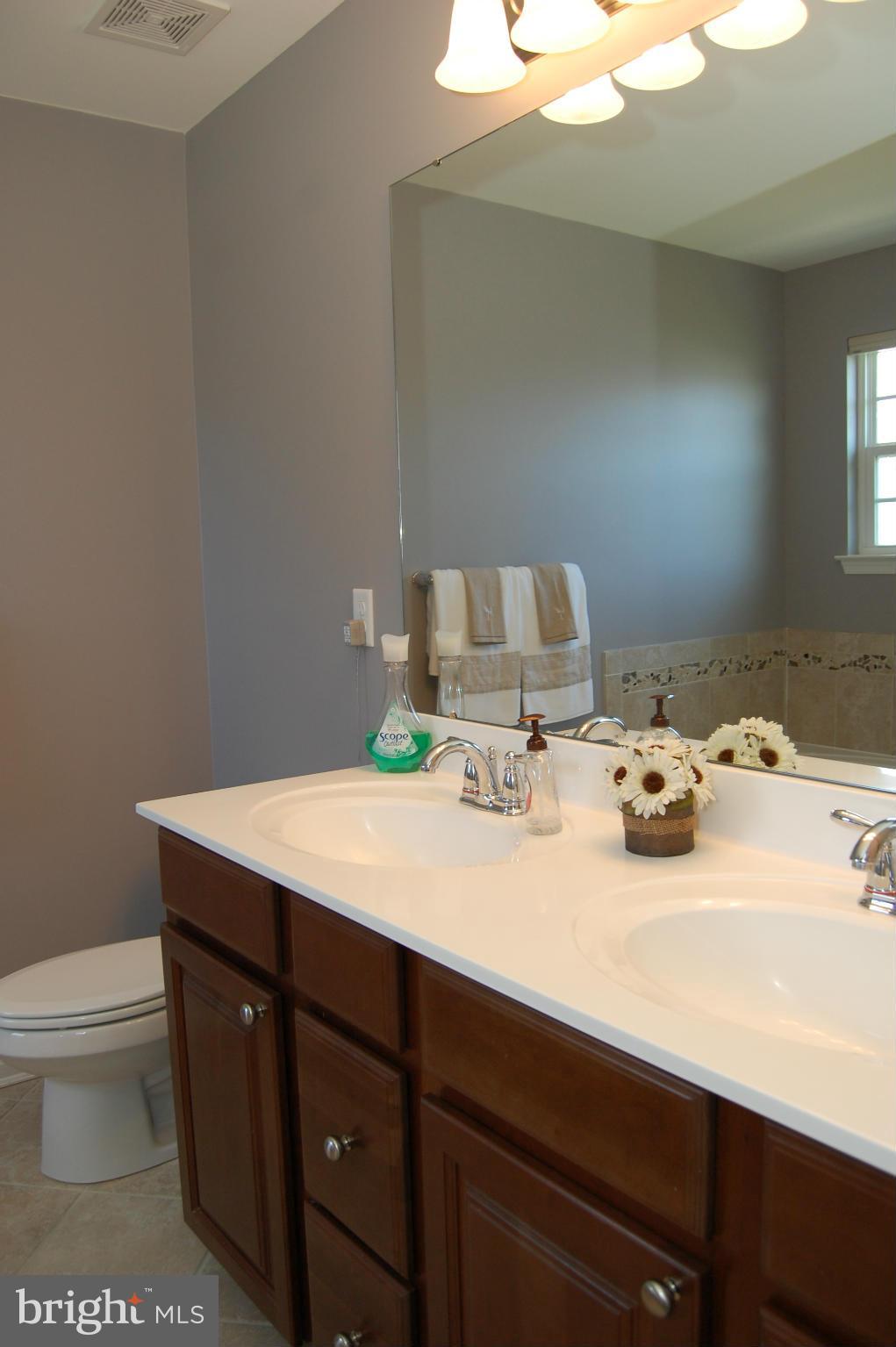 8350 Academy Road Ellicott City, MD 21043 - Photo 19 of 30 Bath (Master)